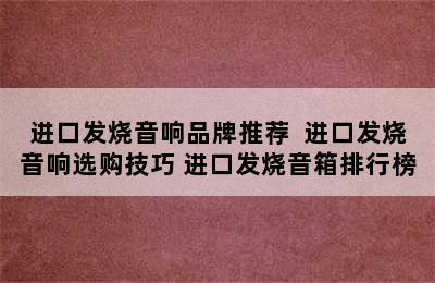 进口发烧音响品牌推荐  进口发烧音响选购技巧 进口发烧音箱排行榜